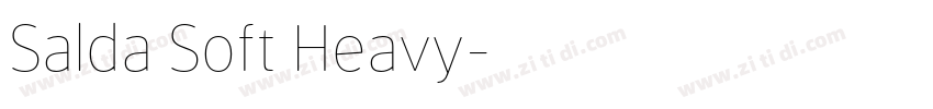 Salda Soft Heavy字体转换